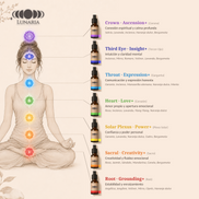 Kit Aceites - Equilibrio de Chakras